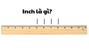 Inch là gì