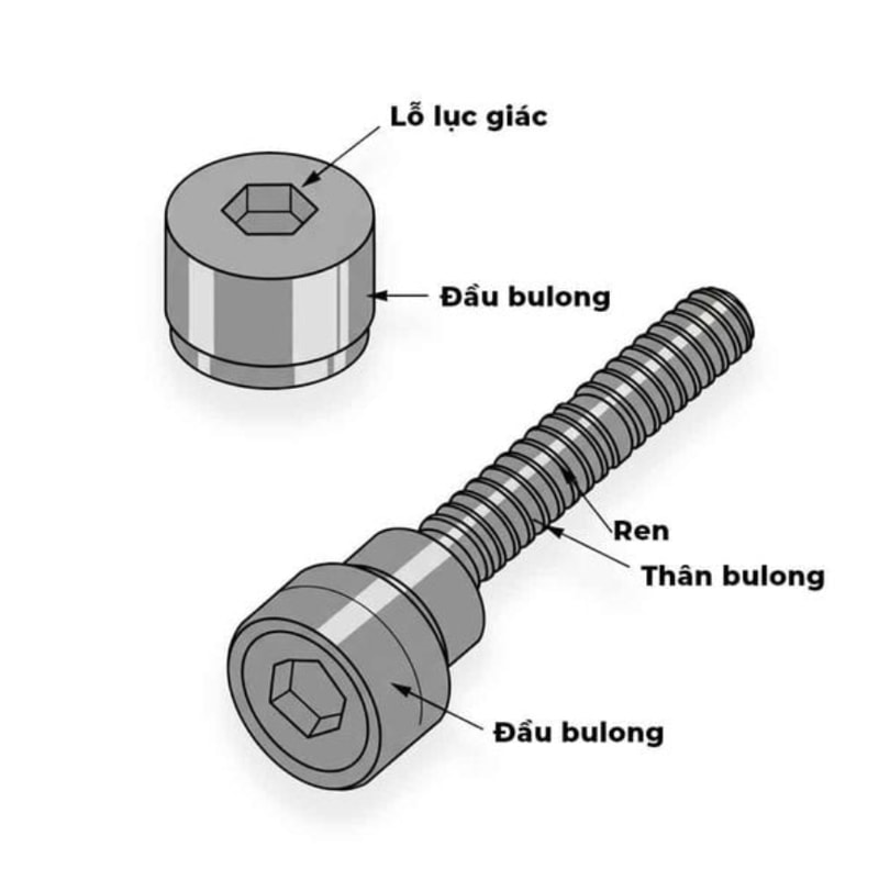 Cấu tạo của ốc lục giác