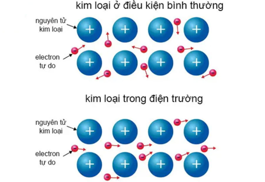 Hạt tải điện là electron tự do