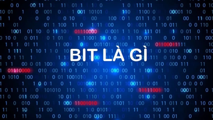 Bit Là Gì